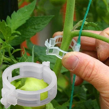 50/100/200 бр пластмасови скоби за растенията Поддържат, се свързват получите многократна защита, инструмент за имунизации, градински аксесоари за доматено рози